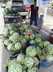 宁乡网红吃瓜事件,揭秘网络舆论背后的真相与争议